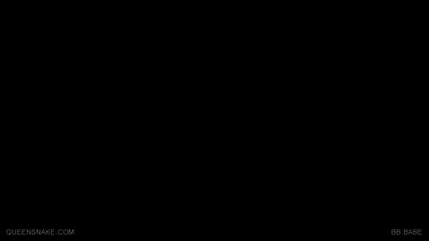 53702